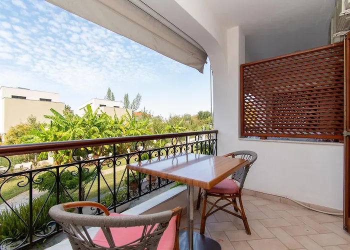 Star Paradise 新马尔马拉斯