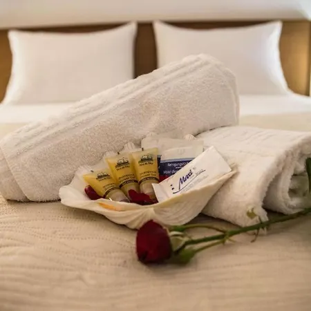 Star Paradise Daire *